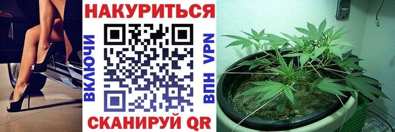 Конопля тримм Красный Холм